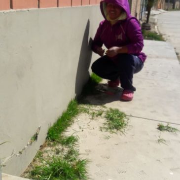 Bolivia: scuole chiuse a tempo indeterminato